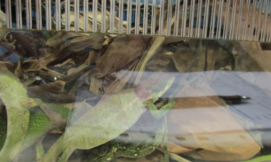 2016-6-3-137foto 6.JPG